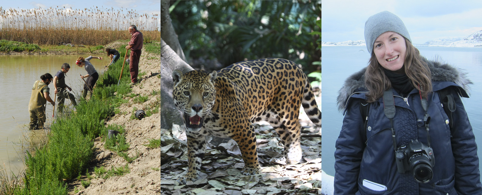 XII_Conservacion_Biodiversidad_galardonados