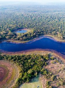 PremiosBIOCON-Vista-aérea-de-un-bosque-subtropical-de-Paraguay_427x570