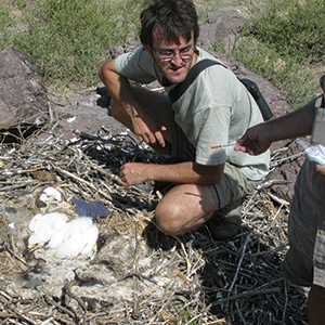 FBBVA-biocon-2004-AVES-DONANA