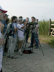 FBBVA-biocon-2006-BALEARES-ORNITOLOGIA