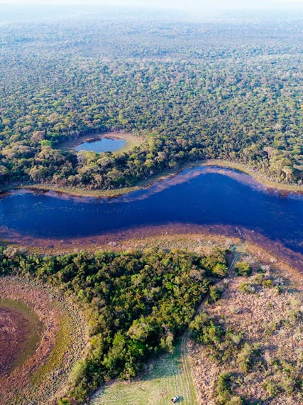 PremiosBIOCON-Vista-aérea-de-un-bosque-subtropical-de-Paraguay_427x570