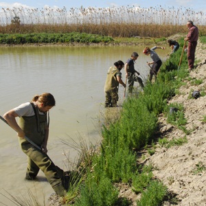 XII_Premios_Conservacion_Biodiversidad_ANSE