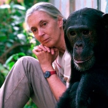 Jane_Goodall_427x570