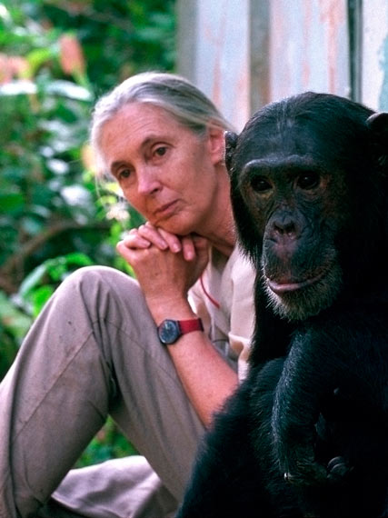 Jane_Goodall_427x570