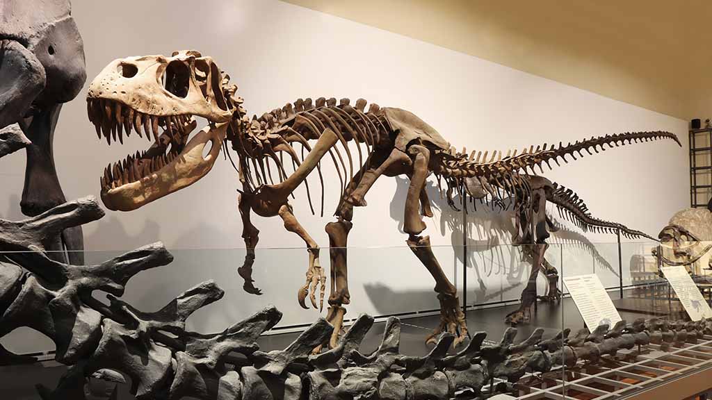 Dinosaurio expuesto en el Museo Nacional de Ciencias Naturales de Madrid