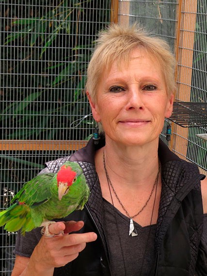Ursula Heise, VI Premio Biophilia de Humanidades y Ciencias Sociales Medioambientales