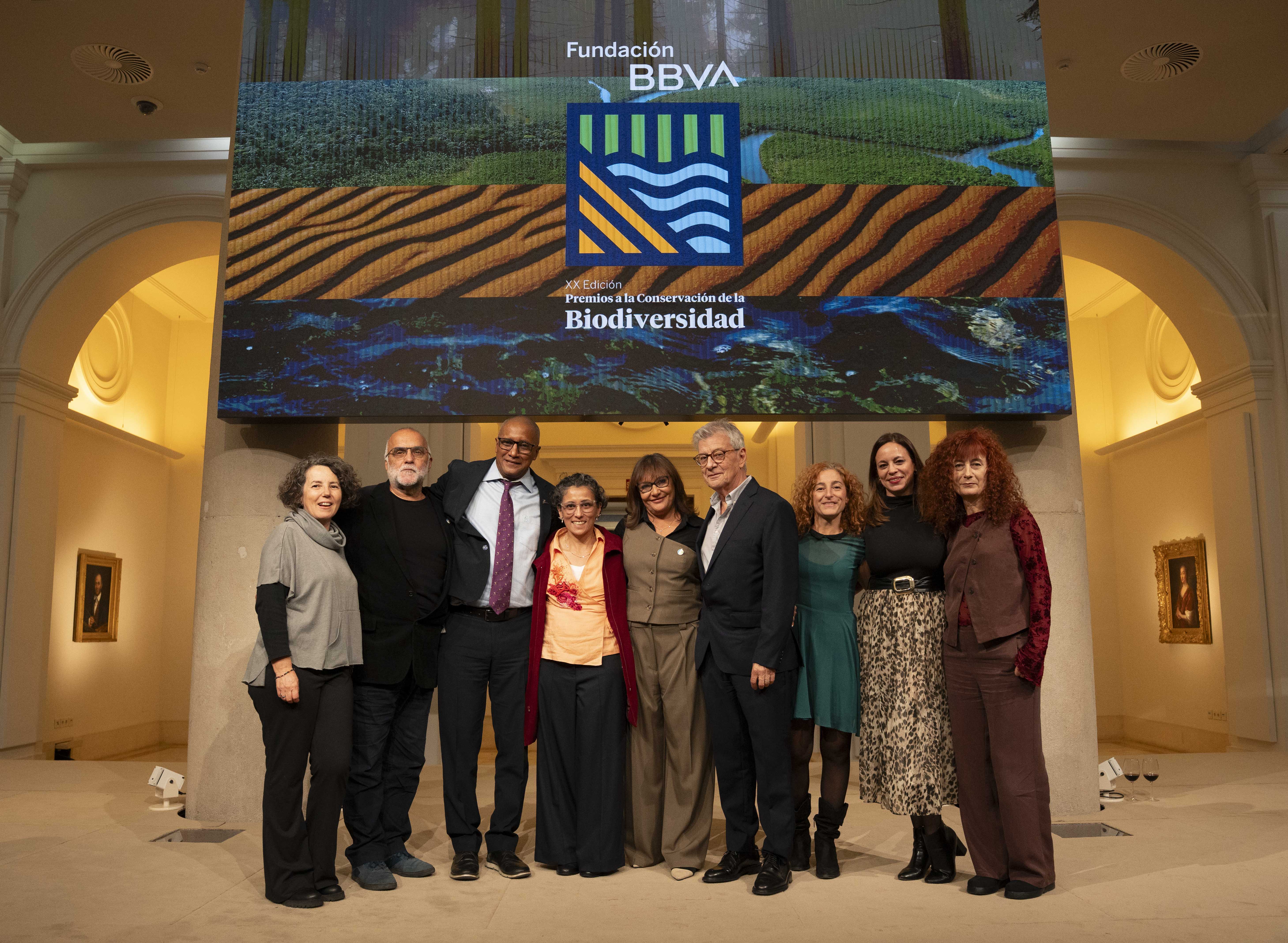 calidris seo birdlife y difusion